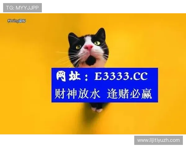 必赢娱乐官网不断创新游戏玩法，带来新鲜刺激的娱乐体验，满足不同玩家的娱乐需求
